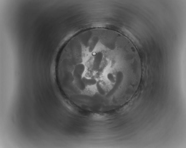 X0000114550346200910191416