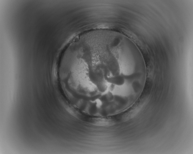 X0000114550347200910191416