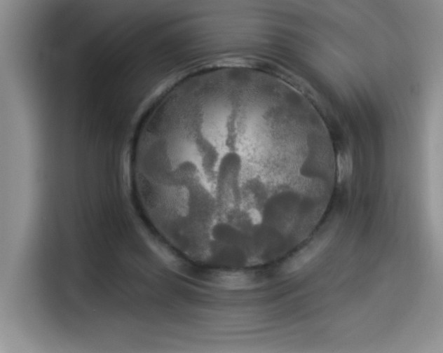 X0000114550349200910191416