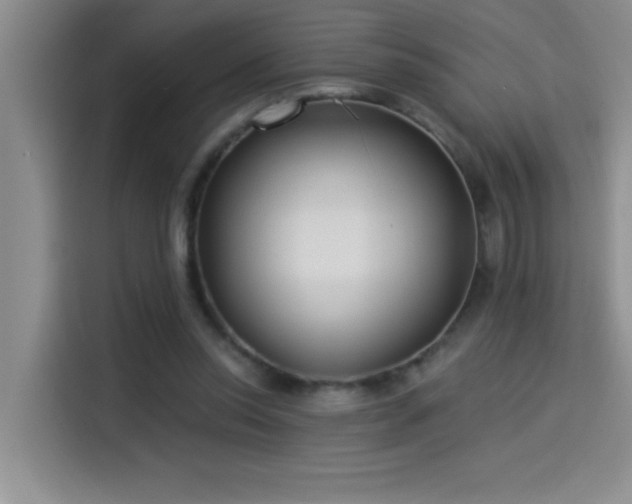 X0000114550350200910191416