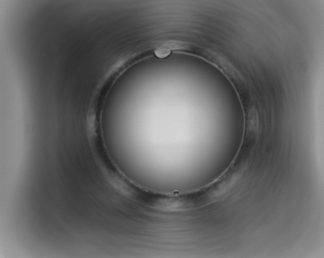 X0000114550351200910191416