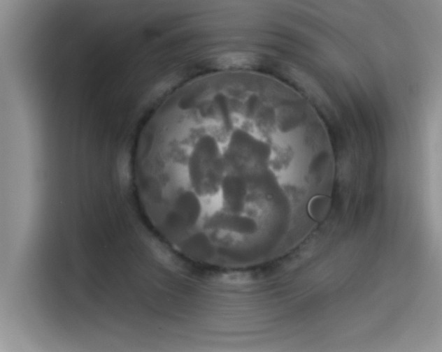 X0000114550353200910191416