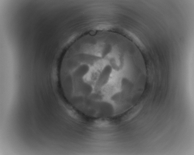 X0000114550354200910191416
