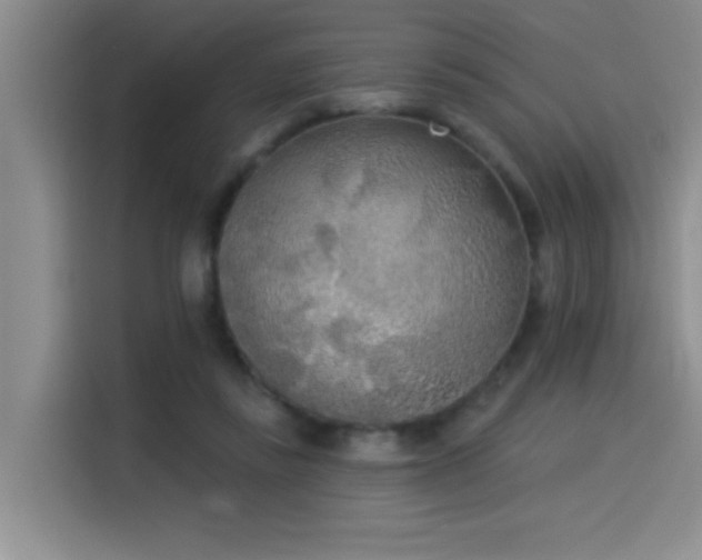 X0000114550355200910191416