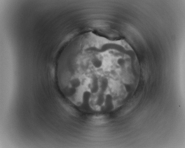 X0000114550357200910191416
