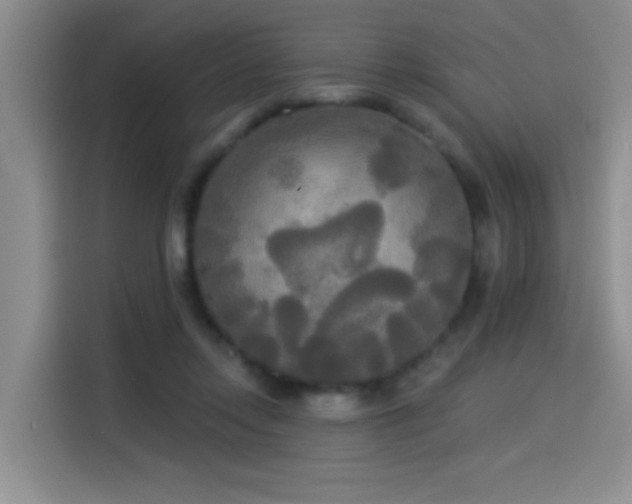 X0000114550358200910191416
