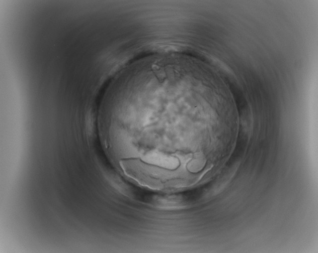 X0000114550359200910191416