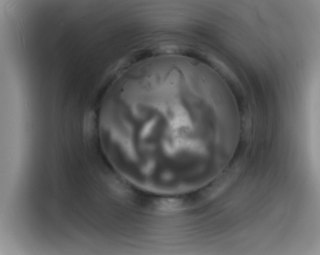 X0000114550361200910191416