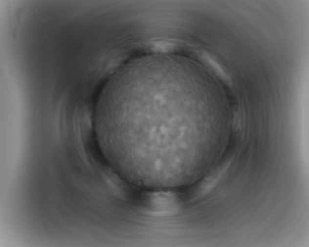 X0000114550363200910191416