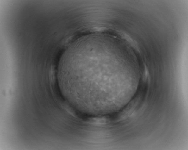 X0000114550366200910191416