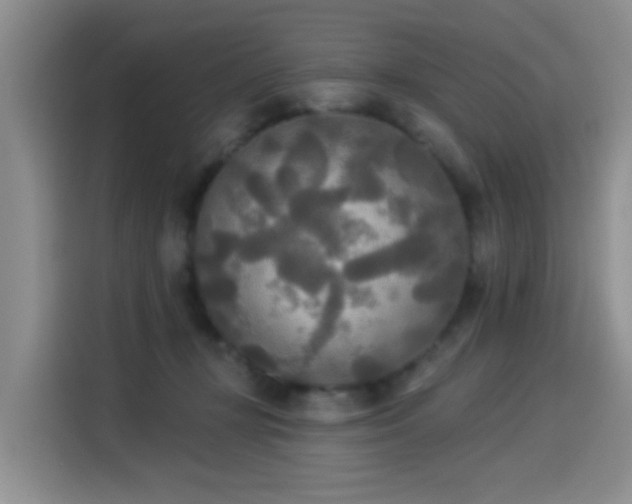 X0000114550367200910191416