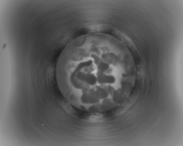 X0000114550369200910191416