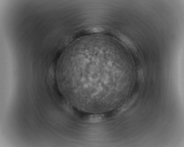 X0000114550373200910191416
