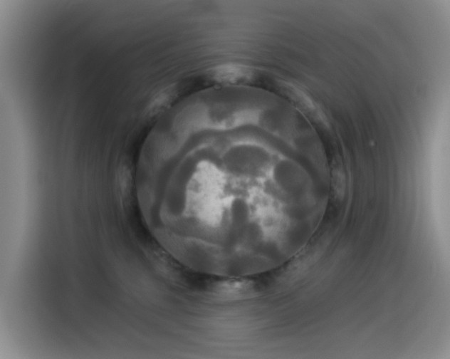 X0000114550375200910191416