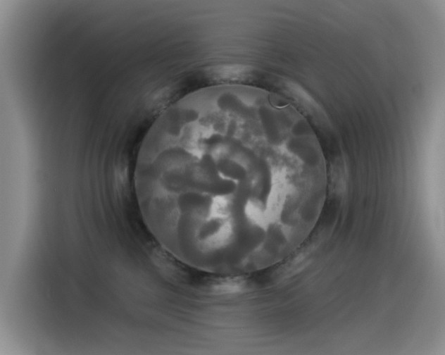 X0000114550377200910191416