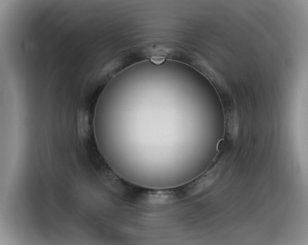 X0000114550378200910191416