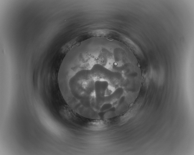 X0000114550381200910191416