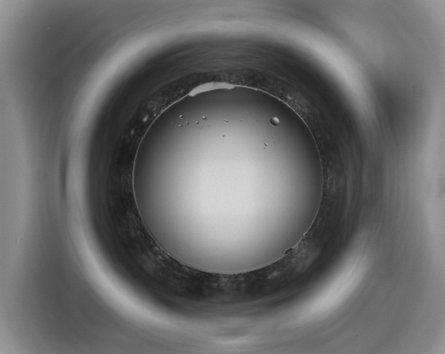 X0000114550383200910191416