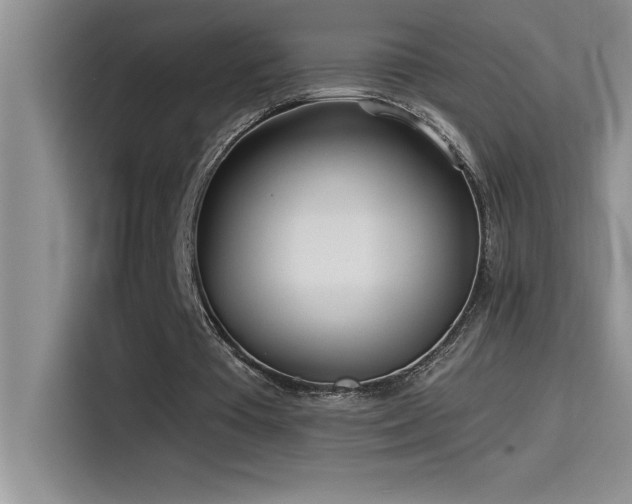 X0000114550385200910191416