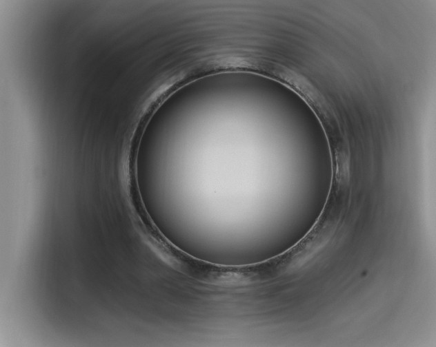 X0000114550390200910191415