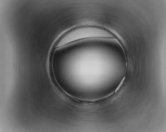 X0000114550391200910191415