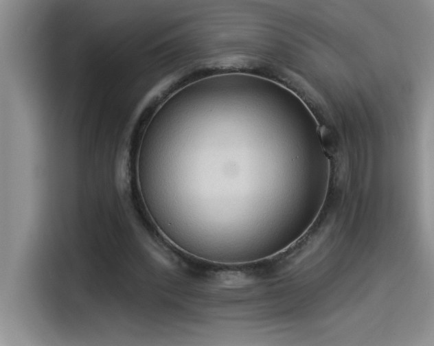X0000114550392200910191415