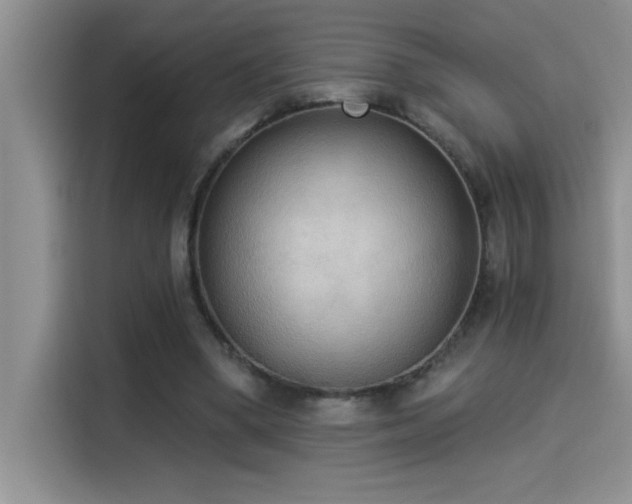 X0000114550394200910191415