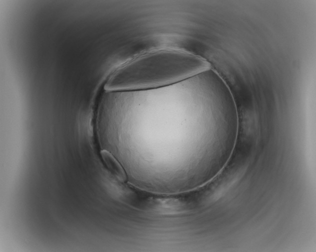 X0000114550395200910191415