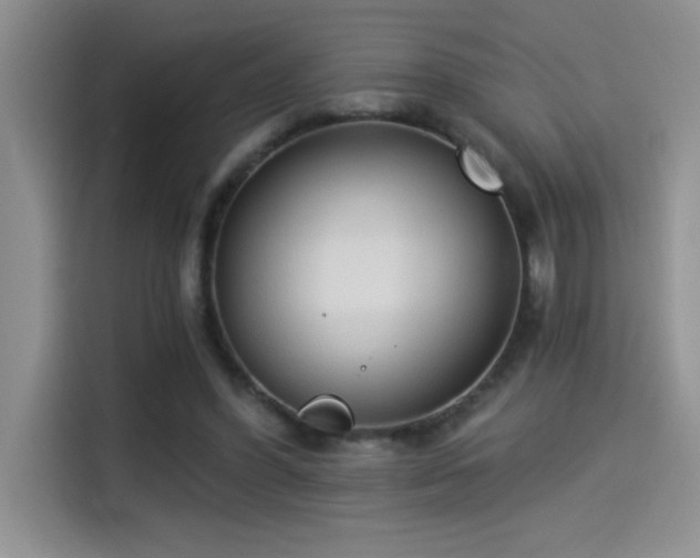 X0000114550396200910191415