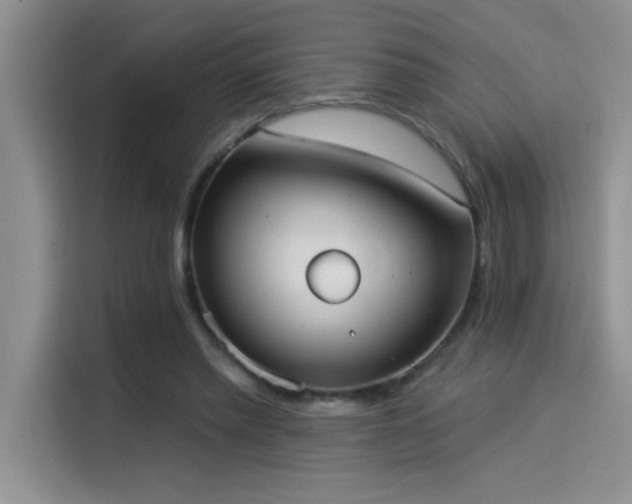X0000114550397200910191415