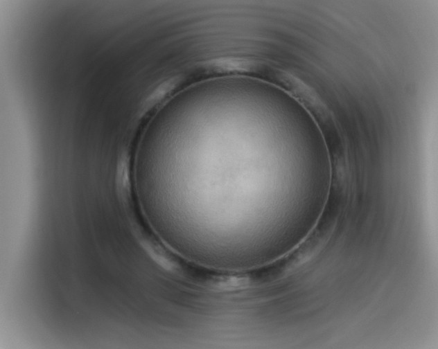 X0000114550398200910191415