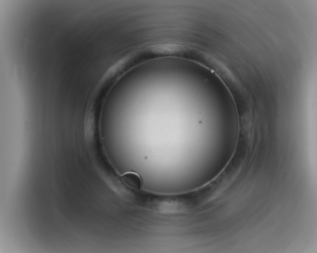 X0000114550400200910191415