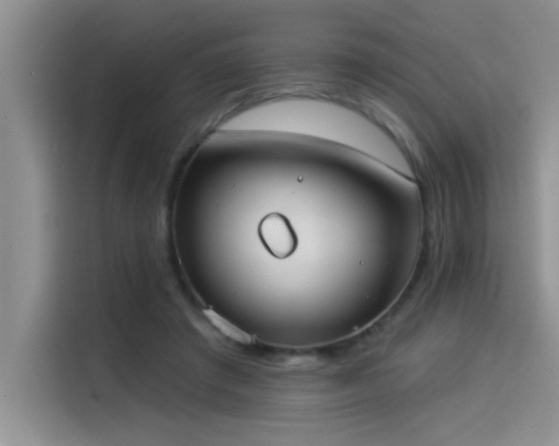 X0000114550401200910191415