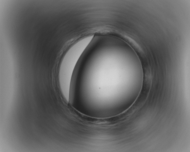 X0000114550403200910191415