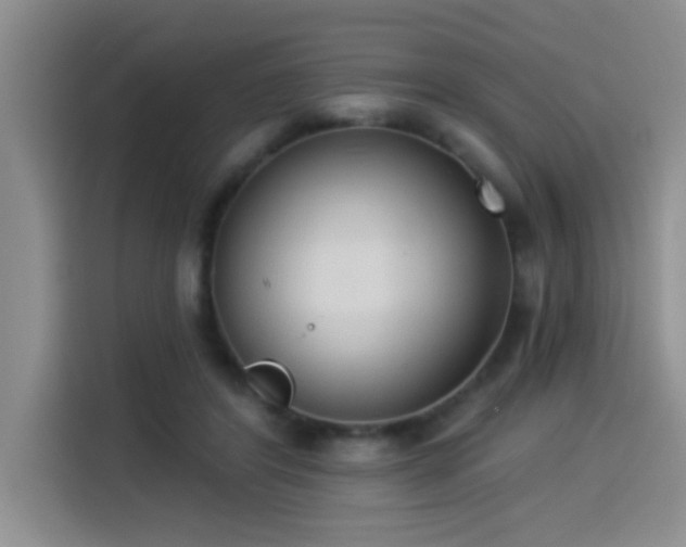 X0000114550404200910191415