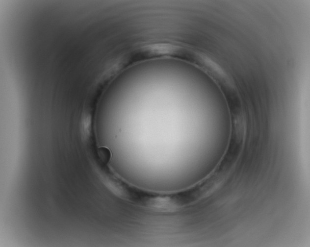 X0000114550406200910191415