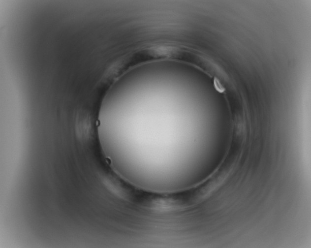 X0000114550408200910191415