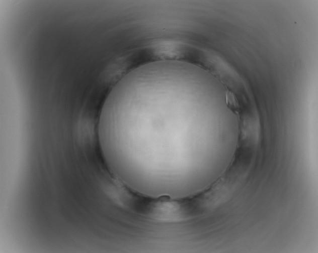 X0000114550409200910191415