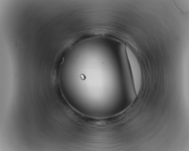 X0000114550411200910191415