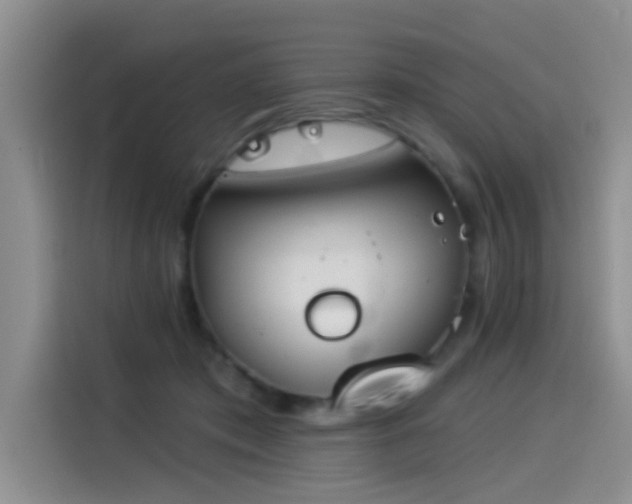 X0000114550413200910191415