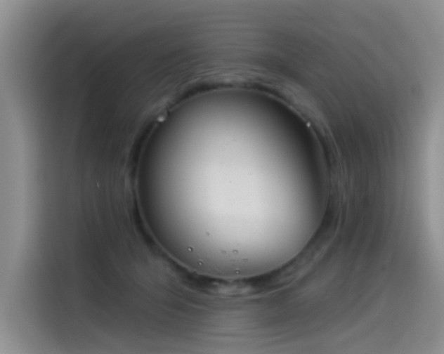 X0000114550415200910191415