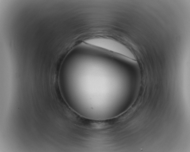 X0000114550417200910191415