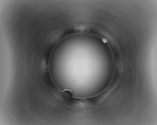 X0000114550420200910191415
