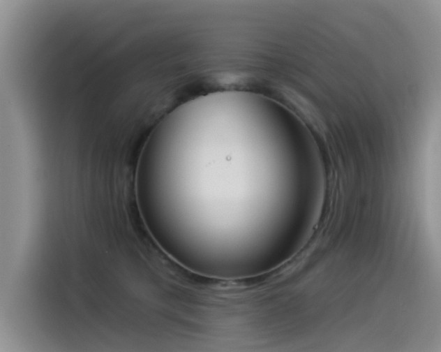 X0000114550421200910191415
