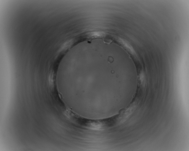 X0000114550423200910191415