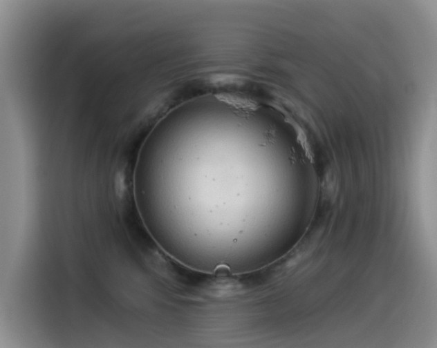 X0000114550424200910191415