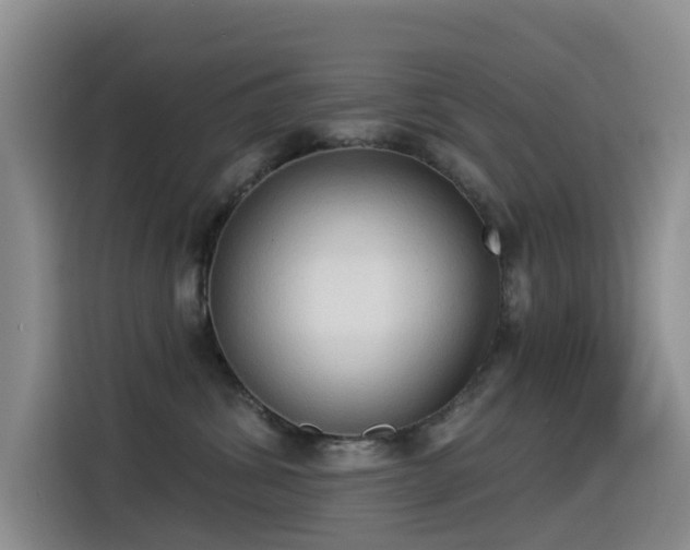 X0000114550428200910191415