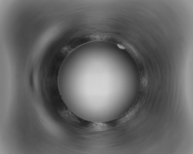 X0000114550429200910191415
