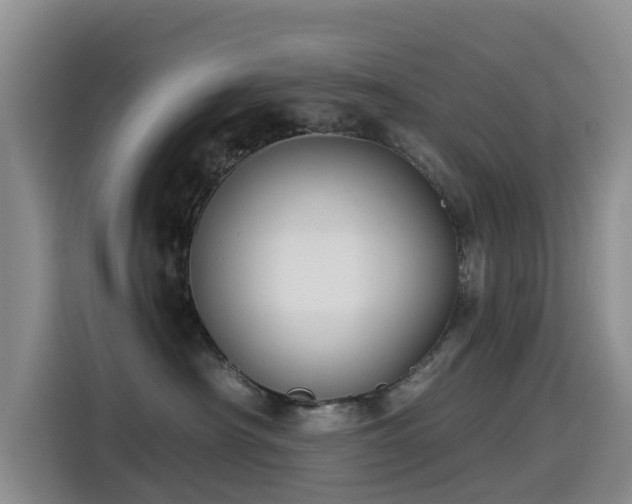 X0000114550430200910191415