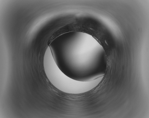 X0000114550431200910191415